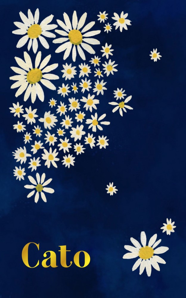 Geboortekaartje madeliefjes blauw met bloemen Cato Atelier Lux